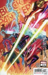 Cover for Black Panther #13