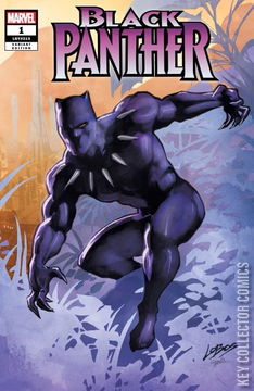 Variant Cover for Black Panther #1