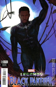 Variant Cover for Black Panther: Legends #4