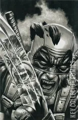 Variant Cover for Deadpool #4