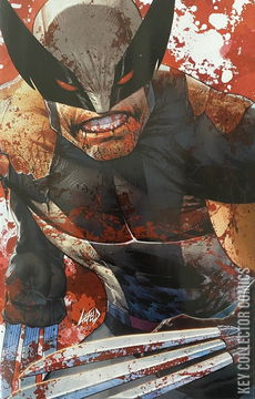 Variant Cover for Deadpool: Badder Blood #1