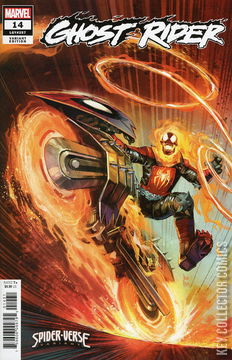 Variant Cover for Ghost Rider #14