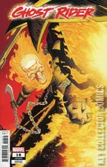 Variant Cover for Ghost Rider #18
