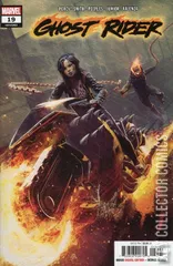 Cover for Ghost Rider #19