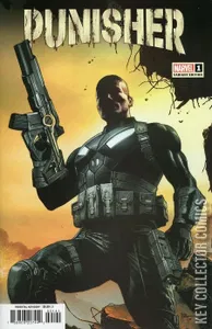 Punisher #1
