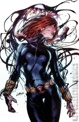 Variant Cover for Venom #27