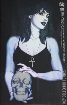 Variant Cover for Sandman Universe: Nightmare Country, The #1