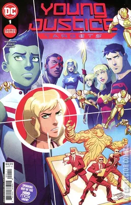 Young Justice: Targets