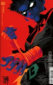 Robin #2