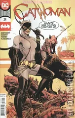 Cover for Catwoman #24