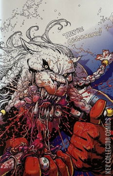 Variant Cover for Invincible #19