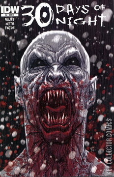 Variant Cover for 30 Days of Night #4