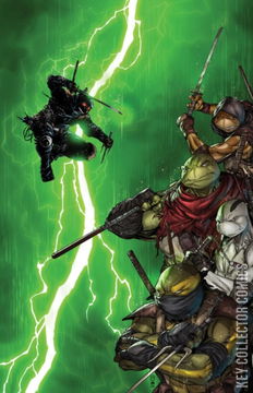 Variant Cover for Teenage Mutant Ninja Turtles: The Last Ronin II - ReEvolution #1