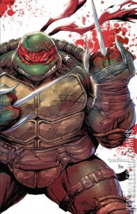 Teenage Mutant Ninja Turtles #1