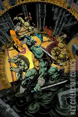 Variant Cover for Teenage Mutant Ninja Turtles #1