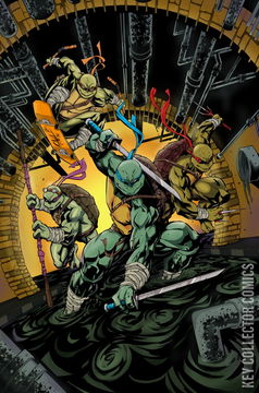 Variant Cover for Teenage Mutant Ninja Turtles #1