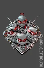 Variant Cover for Teenage Mutant Ninja Turtles #1