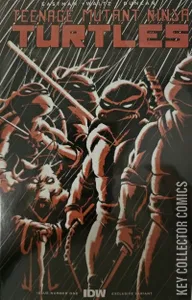 Teenage Mutant Ninja Turtles #1