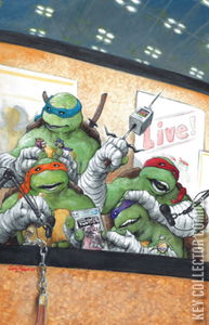 Teenage Mutant Ninja Turtles #1