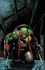 Variant Cover for Teenage Mutant Ninja Turtles #75