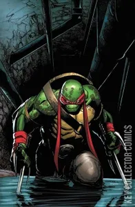 Teenage Mutant Ninja Turtles #75