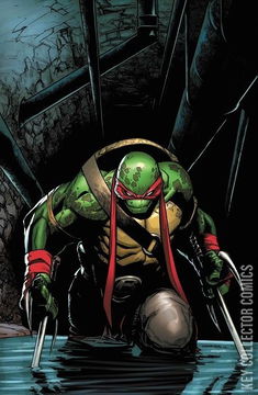 Variant Cover for Teenage Mutant Ninja Turtles #75