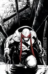 Variant Cover for Teenage Mutant Ninja Turtles #75