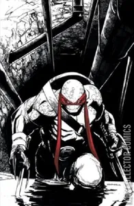 Teenage Mutant Ninja Turtles #75