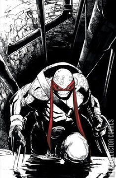 Variant Cover for Teenage Mutant Ninja Turtles #75