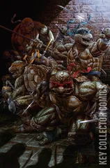 Variant Cover for Teenage Mutant Ninja Turtles #84