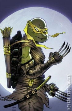 Variant Cover for Teenage Mutant Ninja Turtles #98