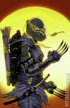 Variant Cover for Teenage Mutant Ninja Turtles #98