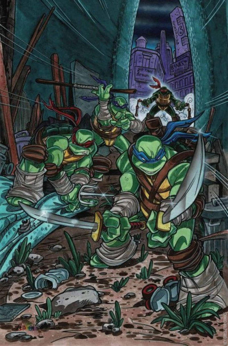 Variant Cover for Teenage Mutant Ninja Turtles #124