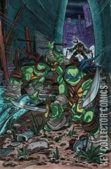 Variant Cover for Teenage Mutant Ninja Turtles #124