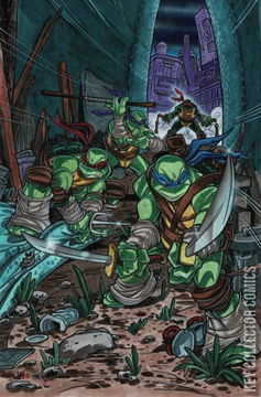 Variant Cover for Teenage Mutant Ninja Turtles #124