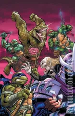 Variant Cover for Teenage Mutant Ninja Turtles #132