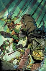 Variant Cover for Teenage Mutant Ninja Turtles #132