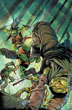 Variant Cover for Teenage Mutant Ninja Turtles #132