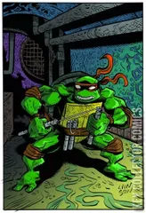 Variant Cover for Teenage Mutant Ninja Turtles #144