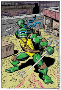 Teenage Mutant Ninja Turtles #145 