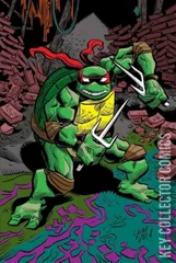 Variant Cover for Teenage Mutant Ninja Turtles #146