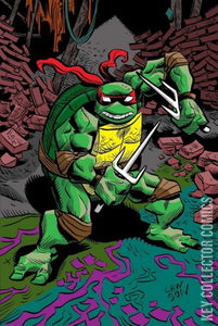 Teenage Mutant Ninja Turtles #146