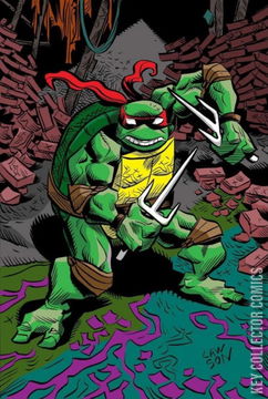 Variant Cover for Teenage Mutant Ninja Turtles #146