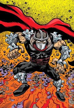 Variant Cover for Teenage Mutant Ninja Turtles #147