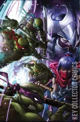 Cover for Teenage Mutant Ninja Turtles: Splintered Fate #1