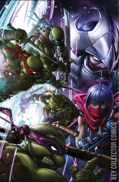 Variant Cover for Teenage Mutant Ninja Turtles: Splintered Fate #1