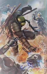 Teenage Mutant Ninja Turtles: The Last Ronin #1