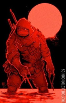 Variant Cover for Teenage Mutant Ninja Turtles: The Last Ronin #1