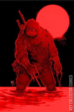 Variant Cover for Teenage Mutant Ninja Turtles: The Last Ronin #1