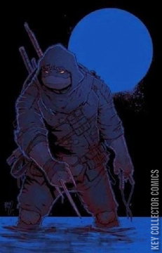 Variant Cover for Teenage Mutant Ninja Turtles: The Last Ronin #1